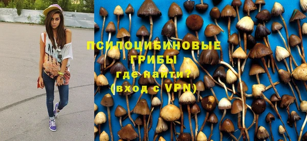 прущая мука Магас