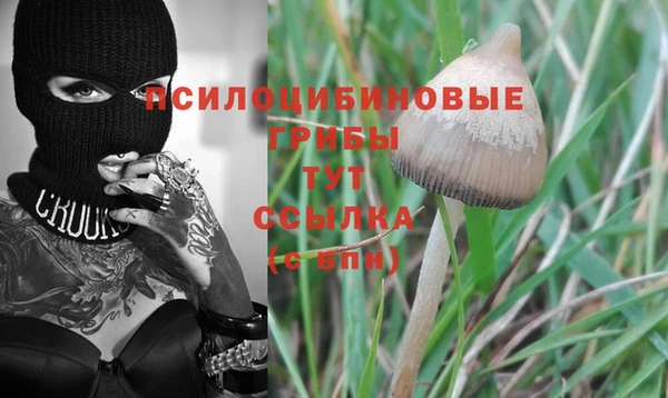 mdpv Ладушкин