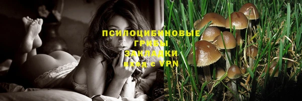 экстази Лагань