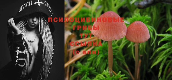 прущая мука Магас