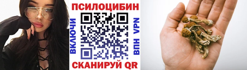 Галлюциногенные грибы Cubensis  KRAKEN вход  Мезень  как найти наркотики 